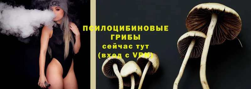 наркотики  ссылка на мегу ссылки  Псилоцибиновые грибы MAGIC MUSHROOMS  Волжск 